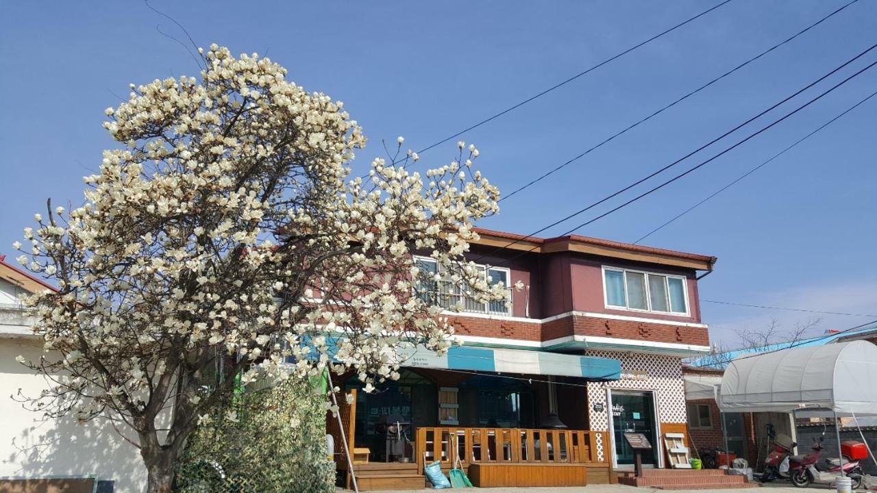 The Guesthouse Dmz Stay Paju Dış mekan fotoğraf